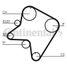 CONTINENTAL CTAM CT762 Belt - 3