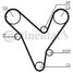 CONTINENTAL CTAM CT829 Belt - 3