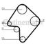 CONTINENTAL CTAM CT832 Belt - 3