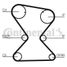 CONTINENTAL CTAM CT842 Belt - 3