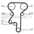 CONTINENTAL CTAM CT871 Belt - 3