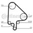 CONTINENTAL CTAM CT871 Belt - 4