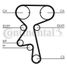 CONTINENTAL CTAM CT873K1 Belt Kit - 3