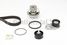 CONTINENTAL CTAM CT887WP1 Water Pump-/Timing Belt Set - 4