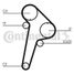 CONTINENTAL CTAM CT891 Belt - 4