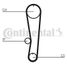 CONTINENTAL CTAM CT895 Belt - 3