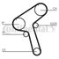 CONTINENTAL CTAM CT917 Belt - 3