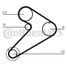 CONTINENTAL CTAM CT921 Belt - 4