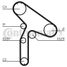 CONTINENTAL CTAM CT921 Belt - 5