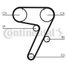 CONTINENTAL CTAM CT931 Belt - 3