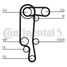 CONTINENTAL CTAM CT957K3 Belt Kit - 3