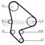 CONTINENTAL CTAM CT986 Belt - 4