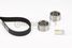 CONTINENTAL CTAM CT989K1 Belt Kit - 4