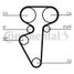 CONTINENTAL CTAM CT996 Belt - 4