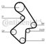 CONTINENTAL CTAM CT998 Belt - 3