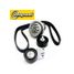 Riginal RG530033210KIT Натяжитель ремня ГРМ chevrolet Lanos (в сборе) - 1