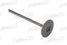 Aspaco AP1023 Клапан двигателя впускной qashqai sentra serena teana tiida versa wingroad x-trail - 2