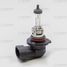 Carberry 31CA4 Лампа H10 12V (42w) Day&Night - 1