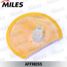 Miles AFFM055 Сетка фильтрующая топливного насоса - 1
