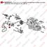 WENDERW WERN058 Ролик натяжителя honda accord vii (03-08), civic 5d (06-12), cr-v (02-12) - 1