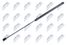 NTY AE-CT-029  - 1