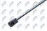 NTY AE-CT-029  - 2