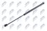 NTY AE-DW-006  - 1