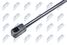 NTY AE-DW-006  - 2