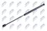 NTY AE-FT-000 Амортизатор (газовая пружина)-, l=445mm, f=300n fiat punto 93-99 - 1