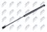 NTY AE-MS-006 Деталь-, l=440mm, f=470n mitsubishi colt VI 04-12 /3-drzwi/ - 1