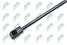 NTY AE-PL-012  - 2