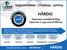 B-RING HBT3902 Ролик ГРМ mazda 2 (03-) 3 i-ii (03-) (обводной) () hardig - 1