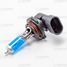 Carberry 31CA2PL Лампа HB4 12V (51w) Power light - 1