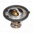 Luzar LT 3001 Термостат для а/м Chery Amulet (03-)/Tiggo (06-)/Fora (06-) (87°с) (термоэл.) - 1