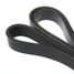 GANZ GIE37248 Ремень поликлиновой 6pk1560 BMW e36/34 M50 peugeot 206 - 3