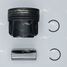 AUTOWELT PN57251 Pn-57251 поршень 0.60 citroen_peugeot dw10fc_dw10fd 2.0 HDI 16V - 4