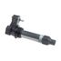 GANZ GIG16113 Катушка зажигания chevrolet Captiva/OPEL Antara mot.V6 - 2