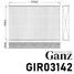 GANZ GIR03142 Фильтр салонный - 3