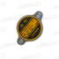 Aspaco AP21266 Крышка радиатора nissan murano (z51) teana RUS make (j32r) 2008-15 - 1