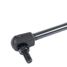 GANZ GIA01039 Амортизатор крышки багажника - 3