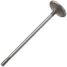ZIKMAR Z17464R Клапан ДВС IN 31.2x5x117.2 Fiat Stilo/ Opel Astra,Insignia,Meriva,Mokka,Vectra,Zafira/ Chevrolet Ave - 2