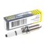 GANZ GIP22028 Свеча зажигания (94833) universal - 2