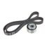 GANZ GIE34044 Ремкомплект ГРМ fiat Doblo/Punto/FORD KA mot.1.2/1.4L - 2