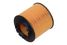 RAF Filter ROF091 Вставка масляного фильтра - 2