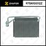 ZAUFER 975N10012Z Испаритель кондиционера - 1