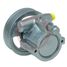 GS HP32017 Насос ГУР Renault Espace IV 2002-2015, Renault Vel Satis 2002- rebuild - 2