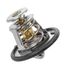 GANZ GIF08066 Термостат Chery Amulet (03-)/Tiggo (06-)/Fora (06-) (87с) - 2