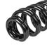 GANZ GIK02605 Пружина задняя chery T19 - 3