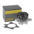 GANZ GIF02094 Помпа, водяной насос toyota Auris/Avensis II/Corolla (e12) 1.4/1.6/1.8l - 1