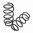 GANZ GIK02609 Пружина передняя chery t1a/t18/t1d - 2